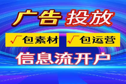百度广告投放策略与效果评估案例